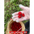 慕景野生覆盆子苗灯笼萢农村覆盆树莓野草莓盆景蓬蘽水果泡可食用易种 现挖野生草莓苗20棵 不含盆