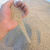 供应水洗砂 建筑河沙 混合砂 中砂价格消防沙 消防沙袋干燥沙黄沙防台风抗洪挡水沙袋 消防沙粗砂25公斤10袋 24小时发货