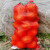 希万辉 网袋子玉米网袋网眼袋水果蔬菜网袋编织袋装玉米网袋子 100条桔黄色 50*80cm