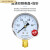 适用于于上海仪川仪表厂Y60 1.6MPA普通压力表气压表水压表 定制 Y-60 0-10MPA