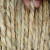伏兴 稻草绳 园林绿化用草绳捆轧绳管桩包树干稻草绳 粗2cm*100米/卷