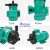 申亿莱  MP磁力化工泵氟塑料耐酸碱耐腐蚀微型磁力驱动循环水泵 MP-40RM螺纹口220V