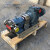不锈钢转子泵厂家 凸轮式双转子泵  高粘度卫生级凸轮转子泵 3.1-15.6T/H(5.5kw）