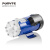 普尼特（ponyte）PONYTE 普尼特 厂家 MP-40R循环泵 220V器械设备分析仪器磁力泵 MP-40RX