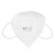 登升一次性kn95耳戴式口罩防护防飞沫防颗粒物PM2.5夏天薄款透气工业国标折叠口罩
