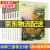 【京东配送正版】汤小团漫游中国历史系列全套56册（可挑选） 谷清平上古再临纵横三国两汉传奇东周列国隋唐风云卷辽宋金元明清帝国卷注音版 纵横三国卷（17-24）