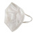 美利肯KN95口罩独立包装防护口罩100只/盒 白色 均码 10天 