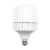 LED 照明灯 220V 60W 220V 11W