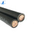 卓众 电线电缆BVR1*6 平方家装多股铜芯软线 黑色100米