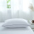 多喜爱（Dohia） 枕头新品星级酒店高弹羽丝绒枕芯两只装学生枕纤维对枕 48*74cm 2只