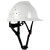 达林韦尔 碳纤维纹路 工地盔 安全帽 ABS工业防砸防撞工程建筑 国标 印字 98X亮白透气 