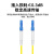 良浦 电信级单模万兆光纤跳线 单模单芯Φ3.0（LC-LC，9/125）10米 光纤线尾纤跳纤 NG-1LC-LC-S10