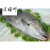 温州特产海鲜鮸鱼丸鱼圆 鱼面当天纯手工制作鱼丸汤500g