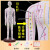 刻字超清晰经络通男女人体模型人体经络模型中医铜人针灸穴位模咏 60CM女彩白-超清刻字-软胶扎针