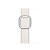 苹果（Apple） Watch Series 7智能手表 不锈钢表壳搭配现代表扣 心率血氧监测 星光白 41mm+GPS+蜂窝