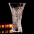 弗莱文茨简约透明玻璃花瓶水培富贵竹百合水养花器插花瓶家用客厅桌面摆件 百财花瓶25cm（透明）