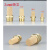 定制适用于质长头气动消音器 消声器宝塔尖头型1分2分3分4分SL-01 1.2寸DN32