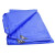 安英卡尔 果绿色加厚防雨布 防水防晒遮阳棚布苫布盖布彩条布PE塑料篷布 8*10m A4033