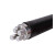 德威狮  低压铝电缆 ZC-YJLHV22-0.6/1KV-3*185+2*95 阻燃铝合金铠装 1米
