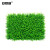 安赛瑞 仿真绿植墙 商场客厅墙面绿化植物墙墙壁假草 皮尤加利40x60cm 5E00053