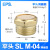 气动元件电磁阀配件堵头铜质消音器消声器AN10/AN20/BSL-01/02/03 平头消音器SLM-04