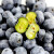 愉果（yuguo）国产蓝莓125g精选装 新鲜水果 125g*6盒精选