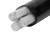 立飞 电缆线 不带凯国标线  YJLV 电力电缆地理架空线  铝芯不带凯 4*35+1*16平方  1米（定制）