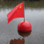 定制高强度塑料浮球ABS双耳加筋圆型航道设施警示水上划赛道渔网浮标 直径30cm加筋双耳球红色(红白)