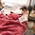 婳寓 毛毯 冬季加厚双层复合式拉舍尔盖毯法兰绒牛奶绒空调毯子 四叶草豆沙 120*200cm（约4斤）