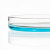 阿力牛 YSY-150 专业实验玻璃培养皿 细胞培养高透明玻璃培养皿 150mm(10个装) 