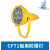 上海亮舟 船用防爆投光灯CFT1铝质铜质网罩IP56带镇流器400W/450W 防爆投光灯CFT1/汞灯/450W