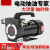 油抽子电动抽油泵12v24v220v柴油泵小型抽油机加油神器加油自吸泵 12V（单转）加配件