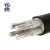 鼎献 电线电缆 YJLV 2*25平方 2芯国标铝芯阻燃电力电缆 10米