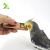 哈鸟鹦鹉鸟零食盒 自动喂食器 鹦鹉玩具 益智玩具 训练鹦鹉用品
