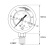 1/4BSP表盘68mm直径径向压力表注油防震气压表水压表油压表液压 0-28bar 0-400psi