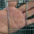 防锈铁丝网养殖网防护网围栏网拦鸡网玉米网圈地网防鼠防蛇防裂网 1米高5.0孔2.0毫粗17米