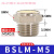 气动接头平头消声器-01/02/03/04/06/M5铜质器 BSLM-M (M5)