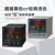宇电YUDIAN温控仪表PID温度控制器温控器数显智能全自动516/518P AI-519D2(0.25级精度 48*48尺寸