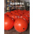 浮球航标警示标志障碍球航道水上浮标浮球塑料双耳海上水上漂浮球 700*900mm带灯150kg浮力