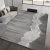 现代简约地毯客厅轻奢沙发茶几毯北欧风灰色卧室地  250*300cm(整 黑白灰-7A