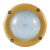 FSL佛山照明FBD0109 60W 6500K白光 220V Ex d IIC T6 Gb/Ex tD A21 IP66 T80℃LED防爆灯(计价单位：盏)黄色