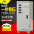 上海人民稳压器6kw9kw15kw20kw30kw40kw50kw60kw80kw100kw380V TNS-100KVA