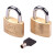 苏识 WJ0020 50mm梅花铜锁大铜锁 通开通用钥匙大门仓库门锁 一把钥匙开多把锁  