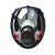 普达 防毒面具 MJ-4008全面罩配P-H2S-1（8号）滤毒盒七件套 尘毒两用口罩 有色金属采矿 石油提炼