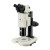 彼爱姆 XTL-BM-18T 体视显微镜 1 XTL-BM-18T 1-3天 