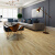 多米阳光（DomiShine）强化复合木地板 家用环保耐磨中式风地暖高光亮面地板12mm 8310