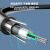 三吝 GYXTW室外光缆6.0mm线径外径 12芯100米 单模架空地埋铠装光缆光纤线 SL-00314