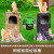 户外卡通创意垃圾桶雕塑公园景区幼儿园玻璃钢动物松鼠果皮箱分类 松鼠光滑树桩环保垃圾桶