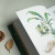森林之花：玛格丽特·米的植物学笔记（邱园英国皇家植物园出品 哈佛大学教授一致推荐) 京东正版现货 森林之花