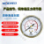适用适用鸿业减压阀铜单级压力调节器标气氮气减压器Honyeo约巢 YQJ-2(25*0.16)